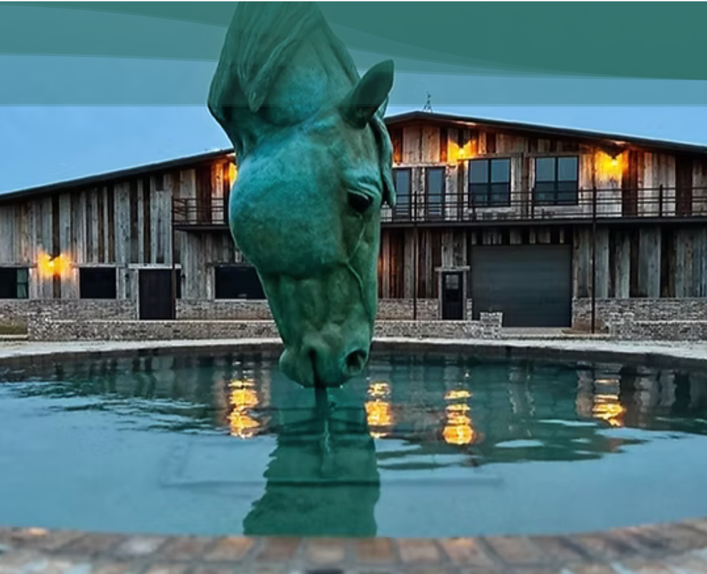 Tammy Lynne - Bronze Sculptor — The Artist